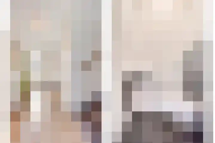 Lijster 6 Eijsden foto 3