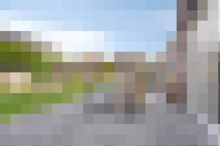 Lijster 6 Eijsden thumbnail 30