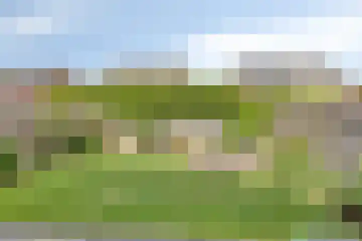 Lijster 6 Eijsden thumbnail 32
