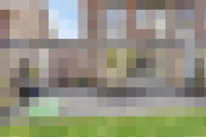 Lijster 6 Eijsden thumbnail 33