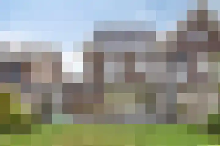 Lijster 6 Eijsden thumbnail 35