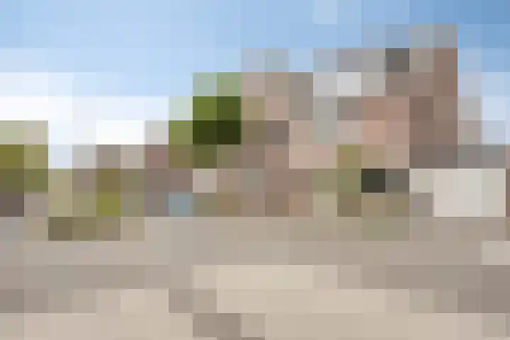 Lijster 6 Eijsden thumbnail 36
