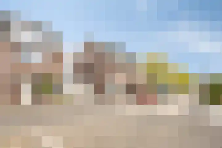 Lijster 6 Eijsden thumbnail 37
