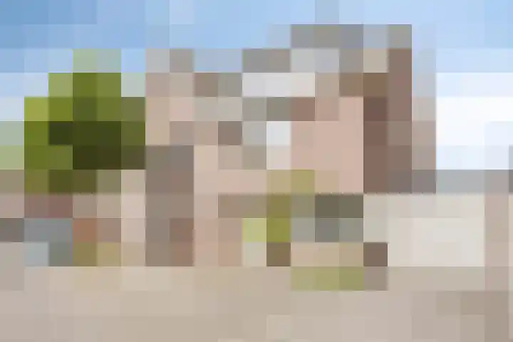Lijster 6 Eijsden thumbnail 38