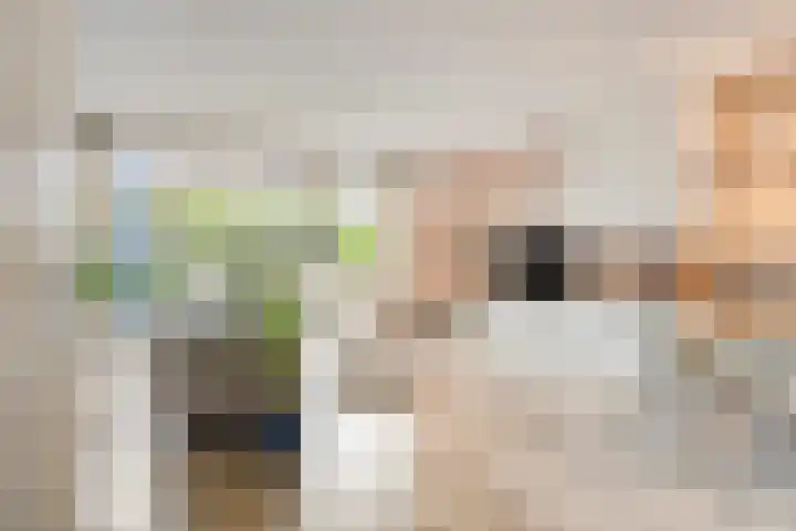 Lijster 6 Eijsden thumbnail 4