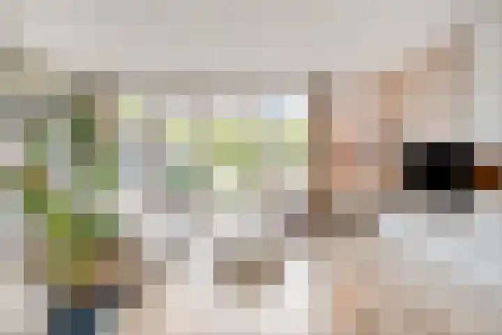 Lijster 6 Eijsden thumbnail 5