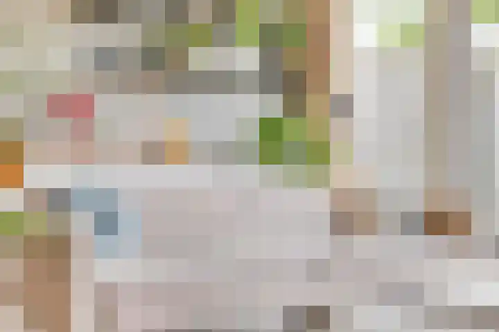 Lijster 6 Eijsden thumbnail 6