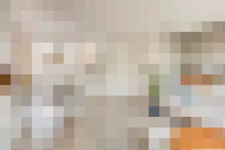 Lijster 6 Eijsden thumbnail 8