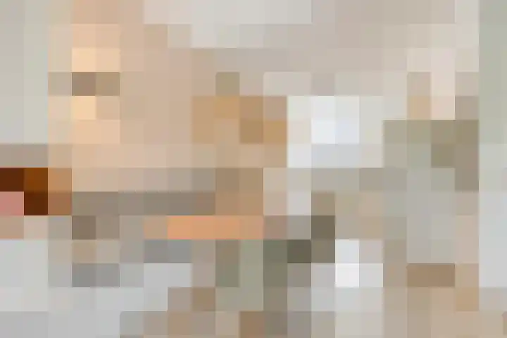 Lijster 6 Eijsden thumbnail 9