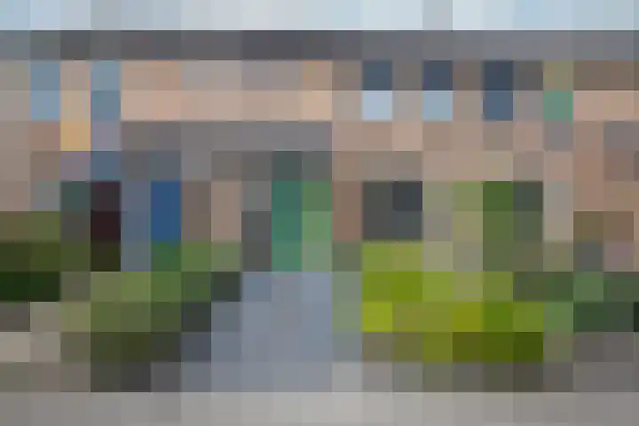 Lijster 6 Genemuiden thumbnail 10