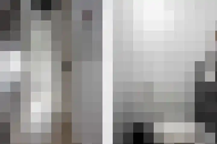 Lijster 6 Genemuiden thumbnail 12