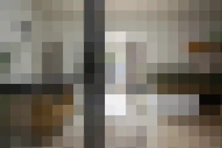 Lijster 6 Genemuiden thumbnail 13