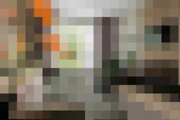 Lijster 6 Genemuiden thumbnail 14