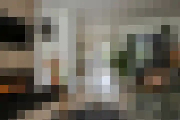 Lijster 6 Genemuiden thumbnail 15
