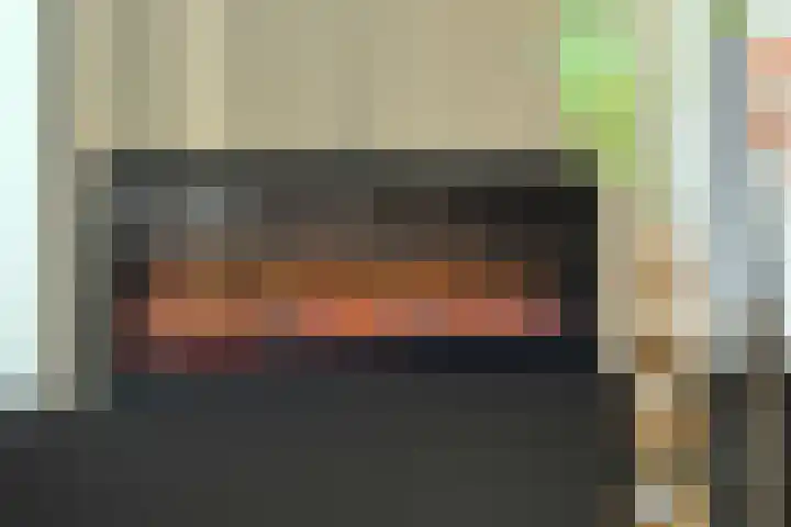 Lijster 6 Genemuiden thumbnail 16