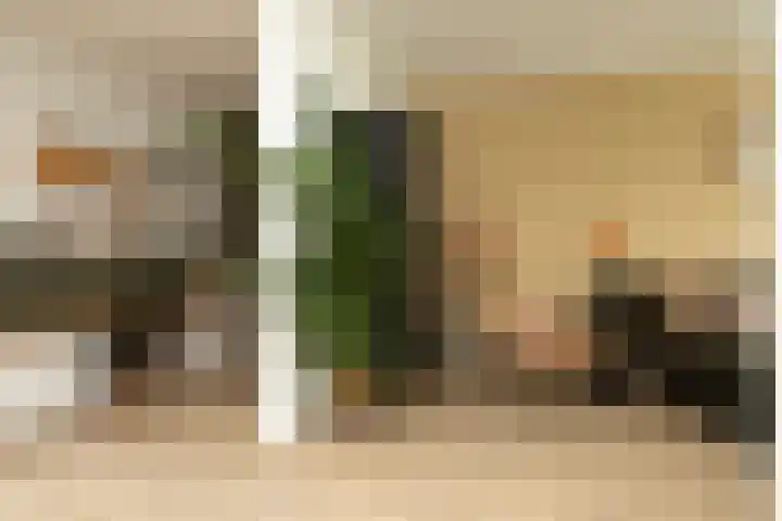Lijster 6 Genemuiden thumbnail 17