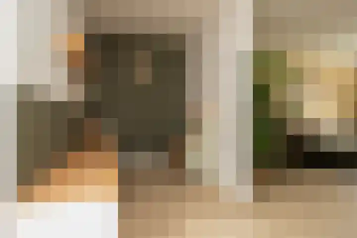Lijster 6 Genemuiden thumbnail 18