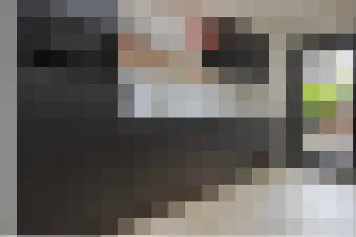 Lijster 6 Genemuiden thumbnail 20