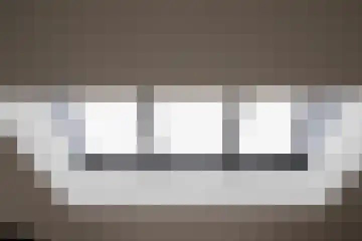 Lijster 6 Genemuiden thumbnail 21