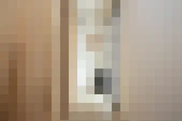 Lijster 6 Genemuiden thumbnail 25