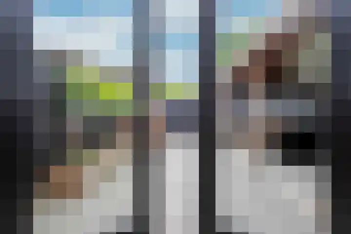 Lijster 6 Genemuiden thumbnail 26
