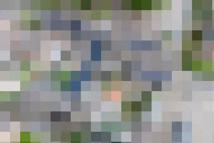 Lijster 6 Genemuiden thumbnail 27