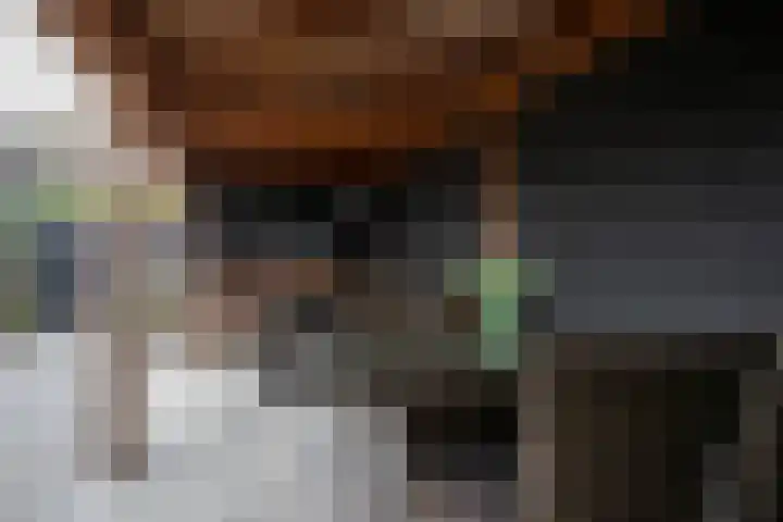 Lijster 6 Genemuiden thumbnail 29