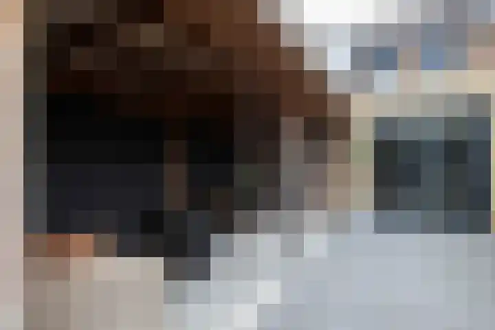 Lijster 6 Genemuiden thumbnail 30