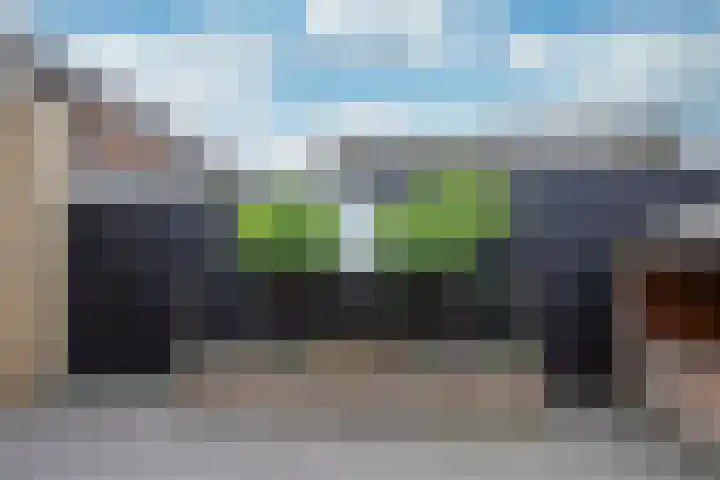 Lijster 6 Genemuiden thumbnail 31