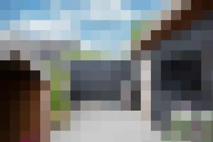 Lijster 6 Genemuiden thumbnail 32