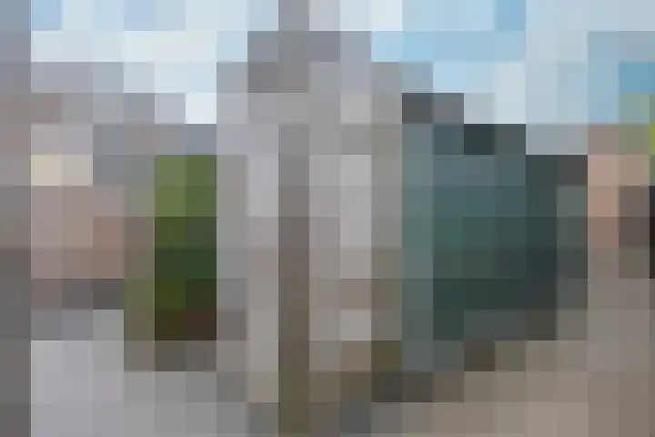 Lijster 6 Genemuiden thumbnail 33