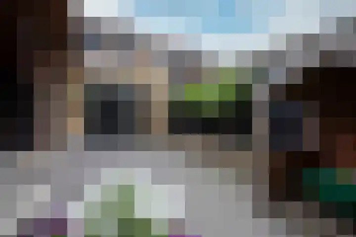Lijster 6 Genemuiden thumbnail 34
