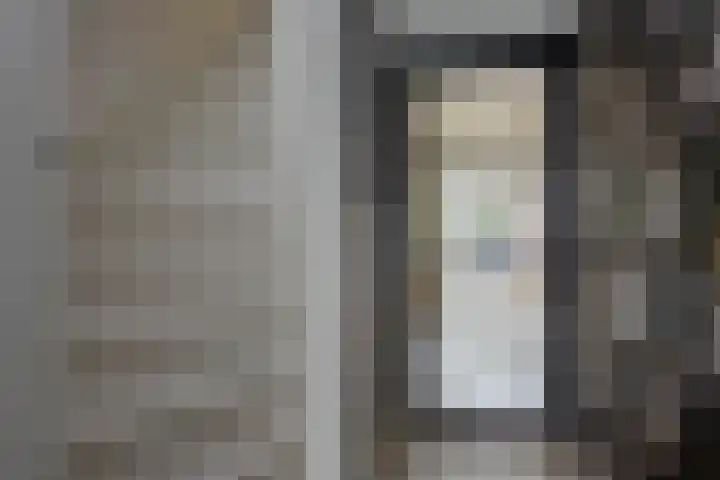 Lijster 6 Genemuiden thumbnail 35