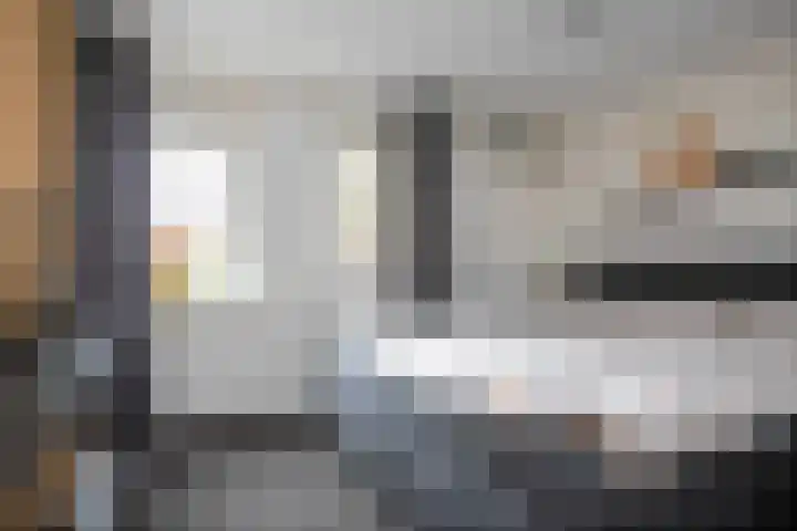 Lijster 6 Genemuiden thumbnail 36
