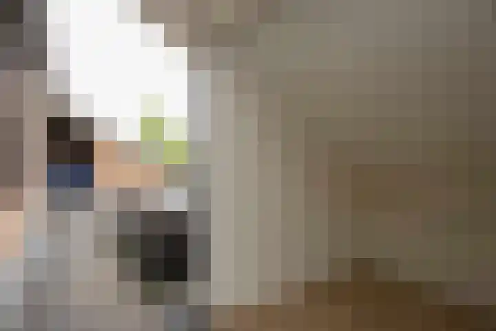 Lijster 6 Genemuiden thumbnail 37