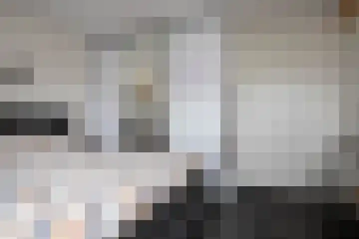 Lijster 6 Genemuiden thumbnail 38
