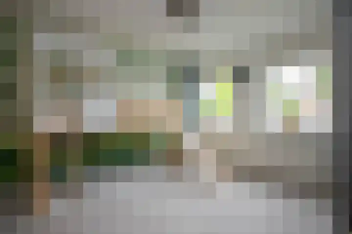 Lijster 6 Genemuiden thumbnail 39