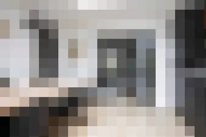 Lijster 6 Genemuiden thumbnail 4