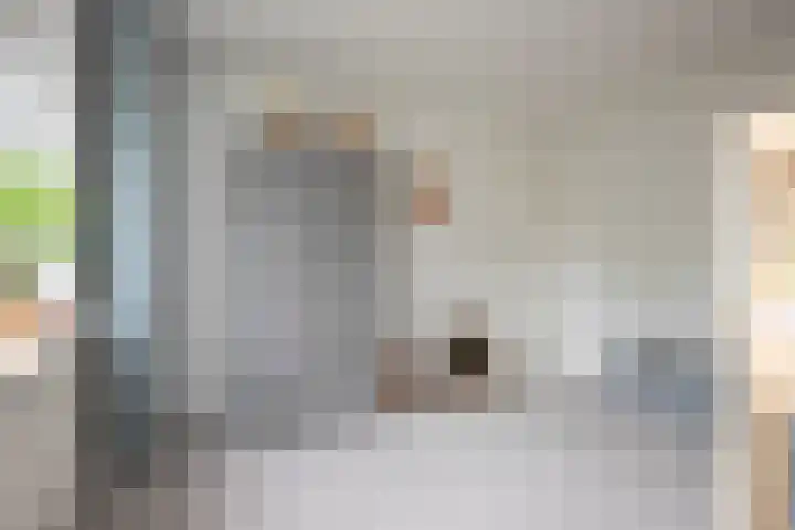 Lijster 6 Genemuiden thumbnail 40