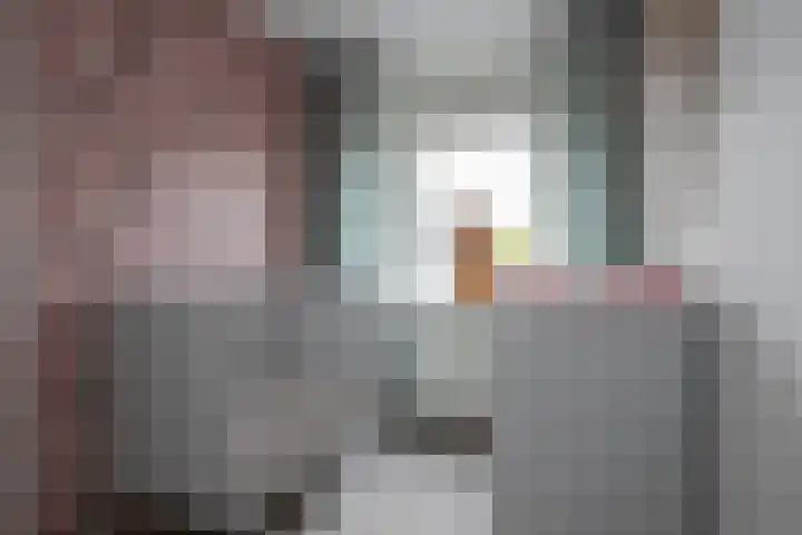 Lijster 6 Genemuiden thumbnail 41