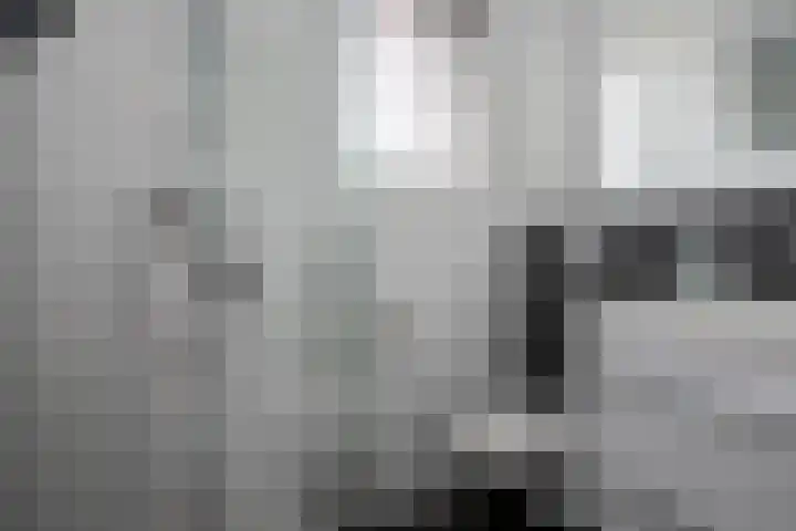 Lijster 6 Genemuiden thumbnail 42