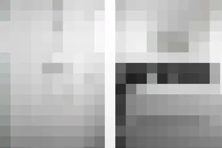 Lijster 6 Genemuiden thumbnail 43