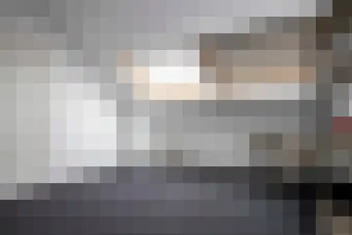 Lijster 6 Genemuiden thumbnail 46