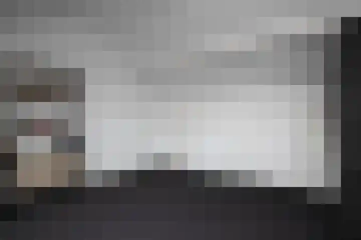 Lijster 6 Genemuiden thumbnail 47