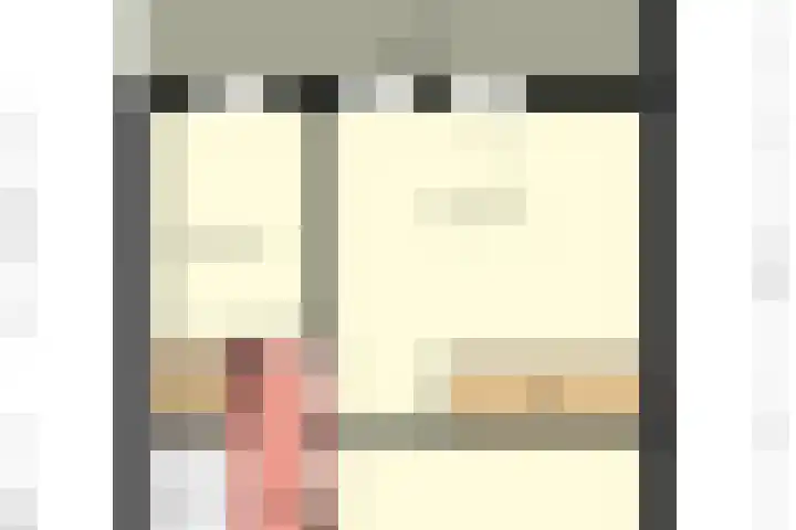 Lijster 6 Genemuiden thumbnail 49