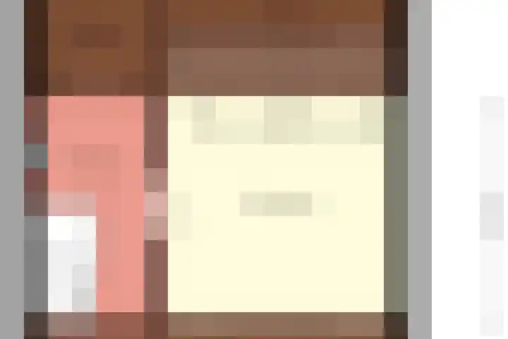 Lijster 6 Genemuiden thumbnail 50