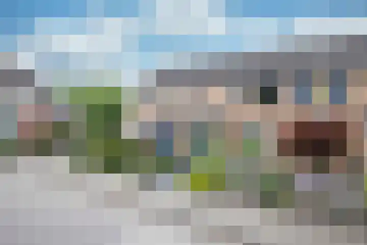 Lijster 6 Genemuiden thumbnail 9