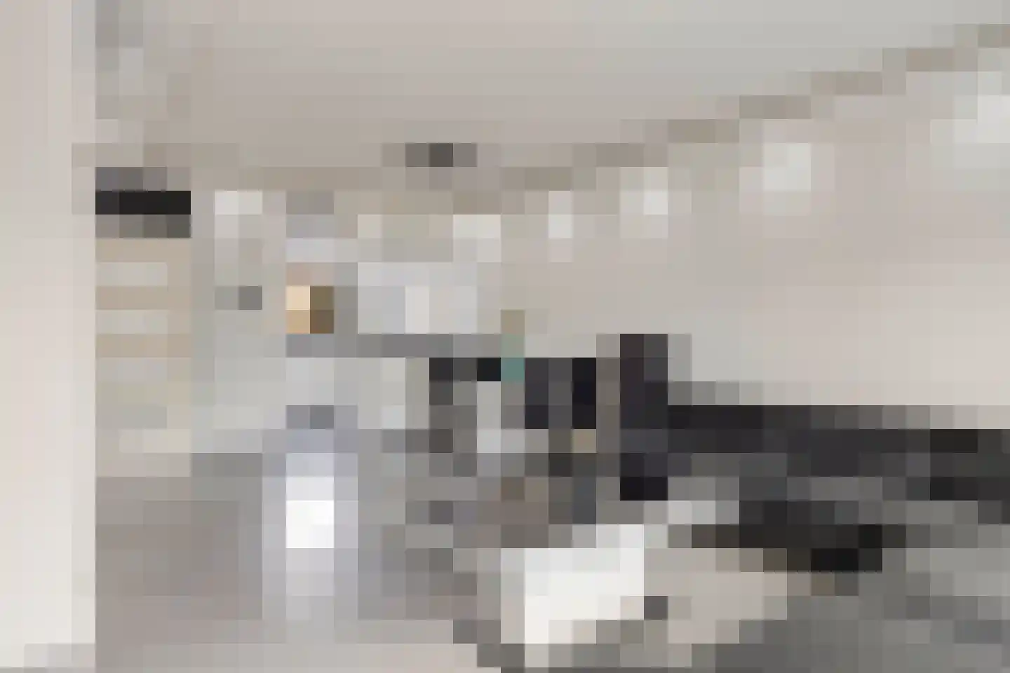 Lijster 69 Hoogvliet Rotterdam thumbnail 17