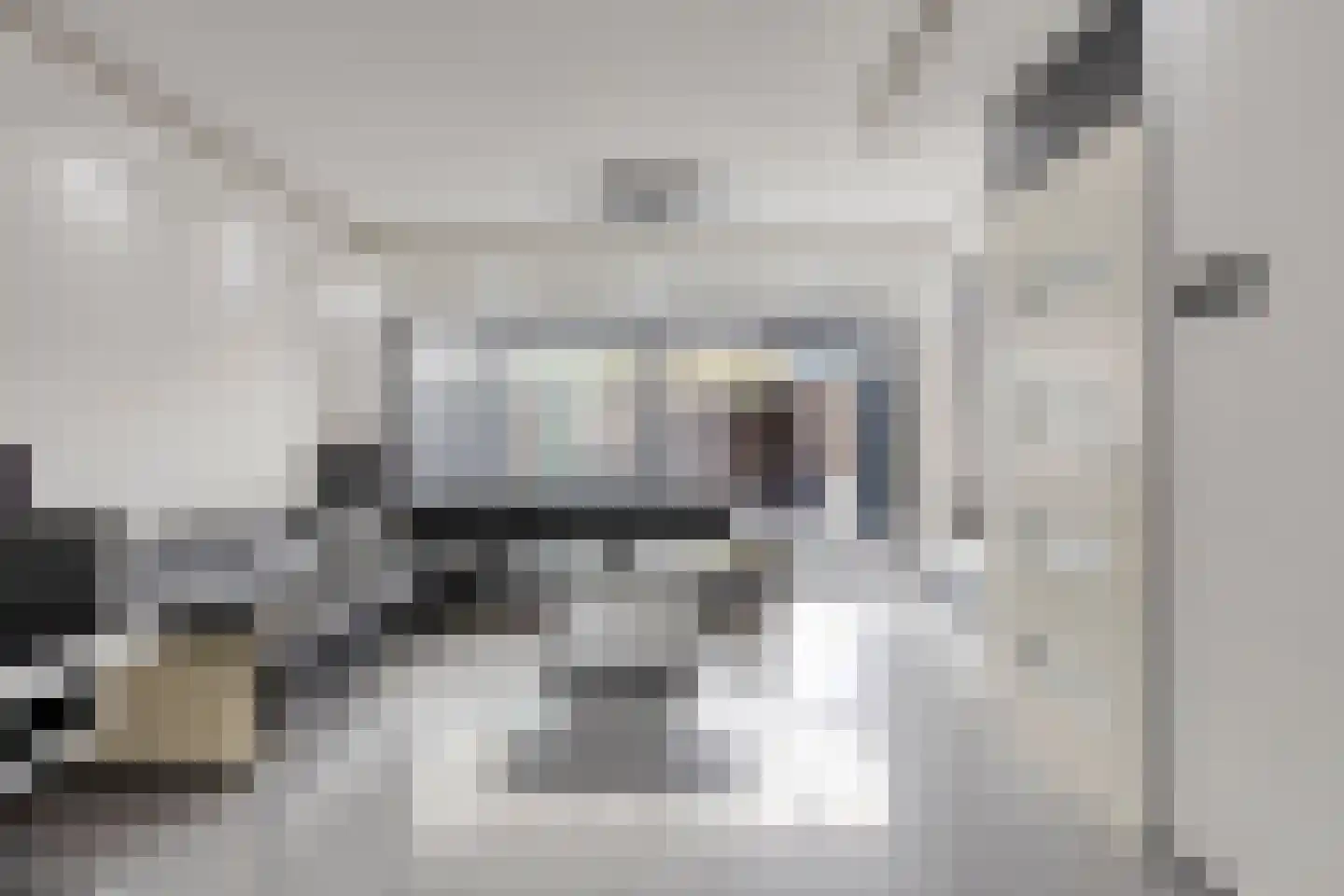 Lijster 69 Hoogvliet Rotterdam thumbnail 28
