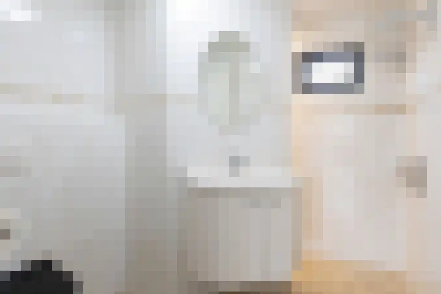 Lijster 69 Hoogvliet Rotterdam thumbnail 35